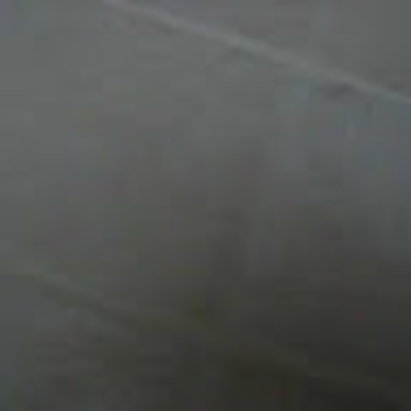 Meet your Posher, Albert - Picture 1 of 1